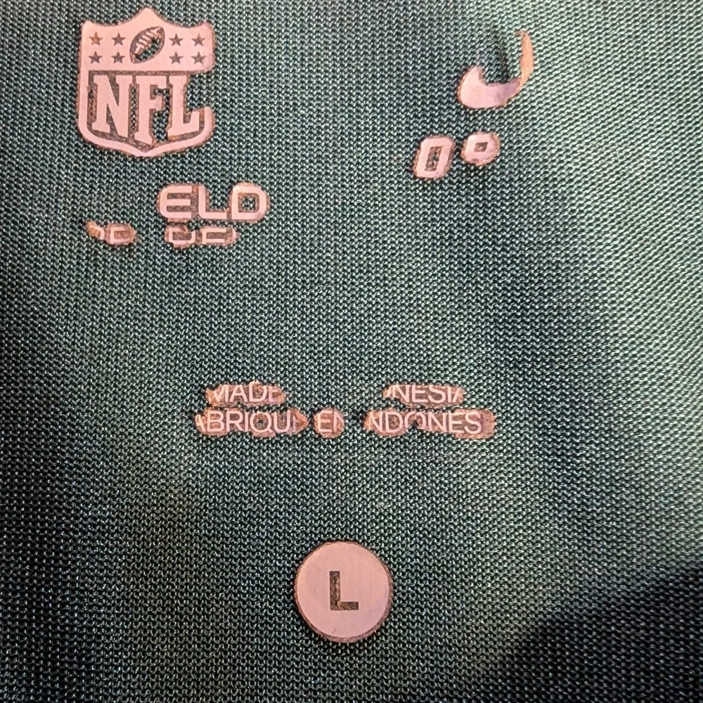 Men’s Nike DRI Fit On Field Philadelphia Eagles Green Collared Polo, Size Large